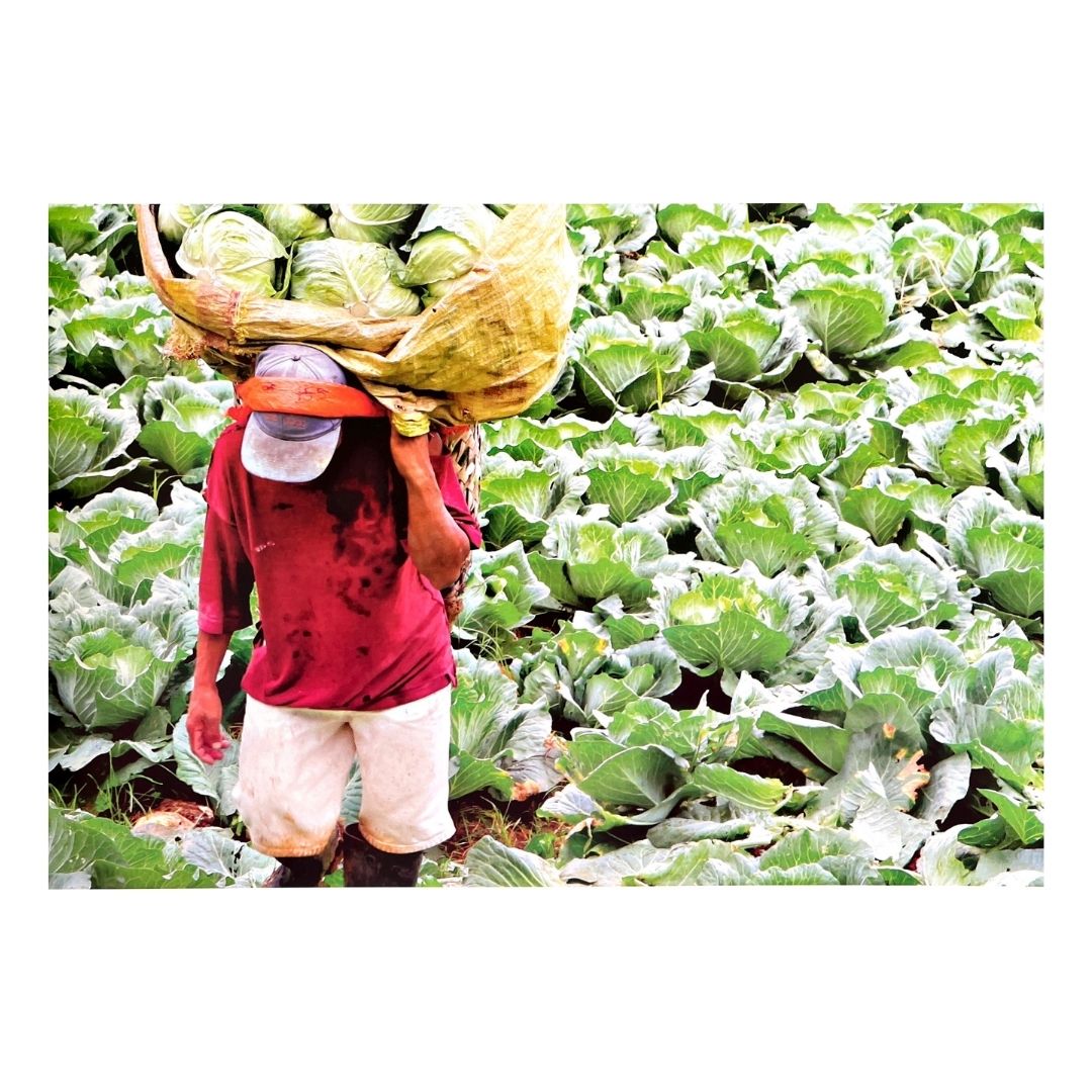 Hikay The Culinary Heritage of Cebu (Image of A Filipino Farmer)