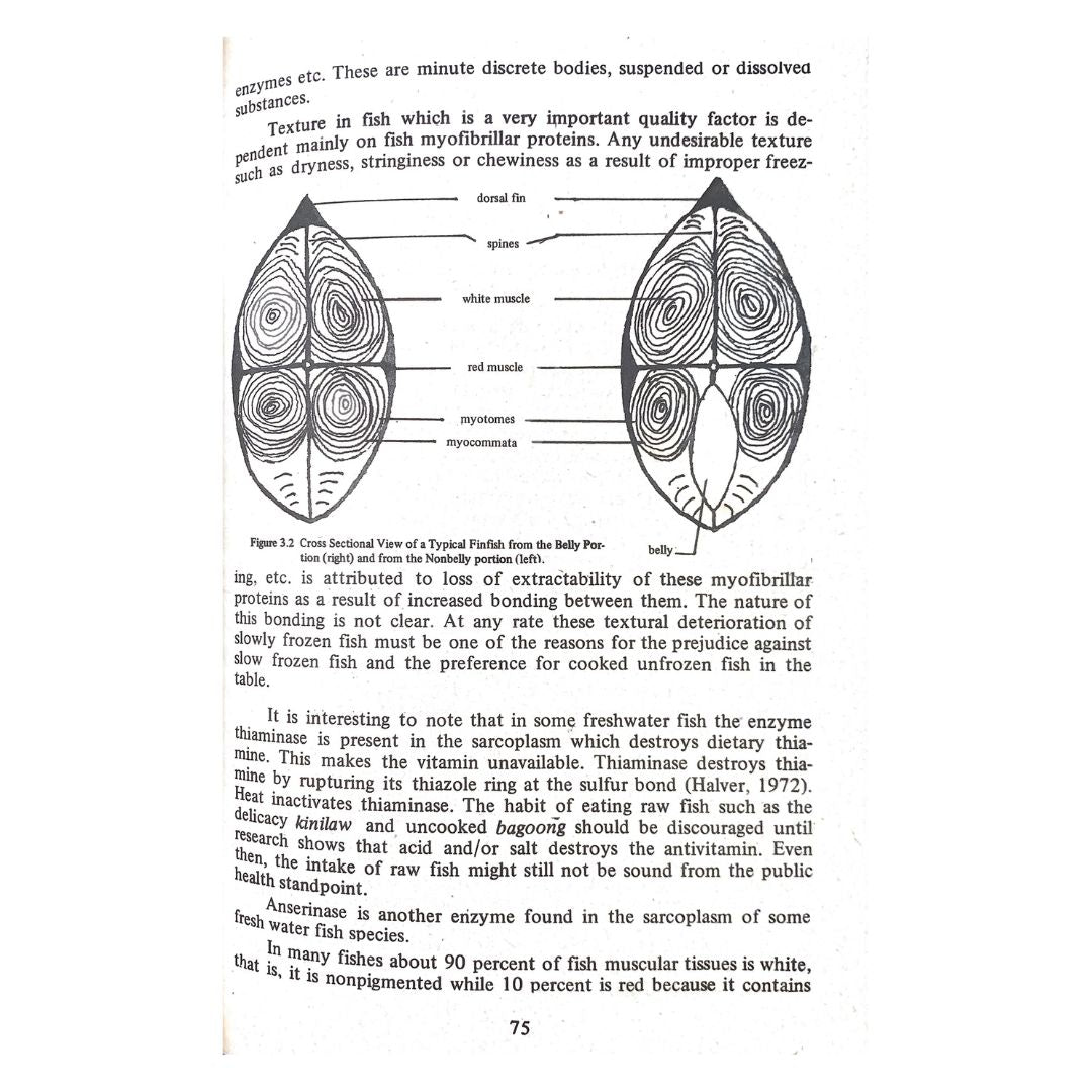 The Science of Philippine Foods (Image of a Slice Fish)