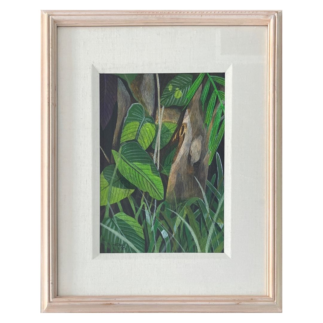 Plants Study by Soler with Frame