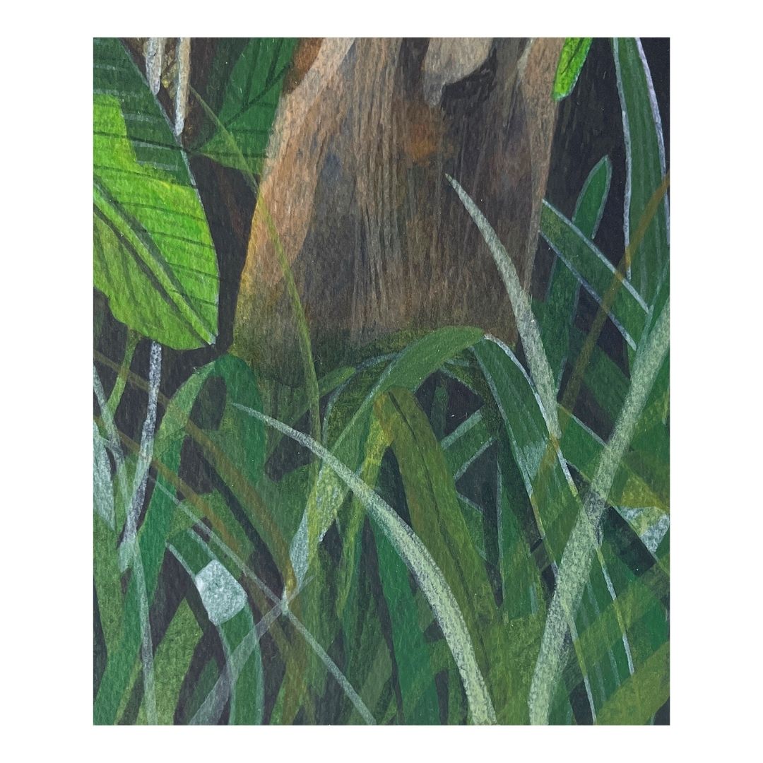 Plants Study by Soler Detail Shot