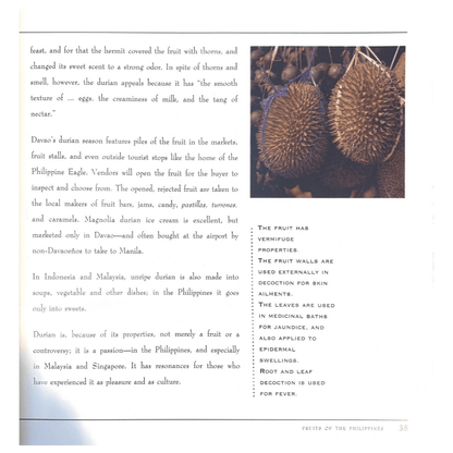 Fruits of the Philippines (Image of Durian)